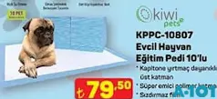 KİWİ PETS KPPC-10807 EVCİL HAYVAN EĞİTİM PEDİ 10'LU